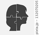 Female head from puzzle pieces, mental disorder 132070205