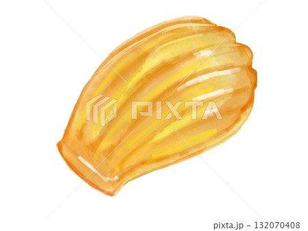 ふっくらとした焼きたての美味しそうなマドレーヌの手描き水彩イラスト 132070408