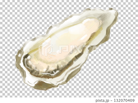 手繪水彩插圖的新鮮美味的生牡蠣 132070409