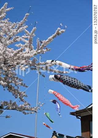 舟津川沿いの桜並木(福島県) 舟津川沿いの桜並木(福島県) 132070787