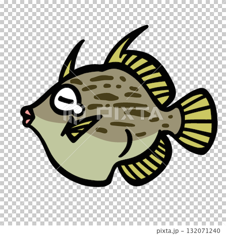シンプルなかなしいカワハギのイラスト 132071240
