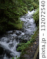 新緑の森を流れる清流 132072540