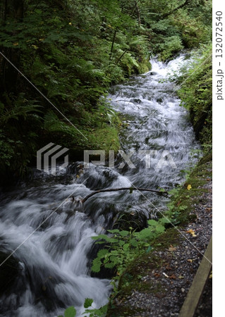 新緑の森を流れる清流 132072540