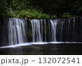白糸の滝 132072541