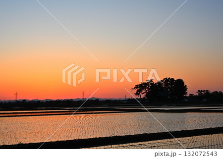 水を張った越後平野（新潟県） 132072543