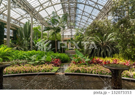 Lush tropical garden with fountains inside a grand conservatory 132073353
