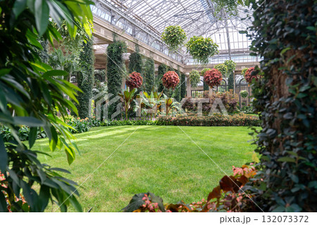 Lush indoor garden with a lawn and hanging plants in a conservatory 132073372