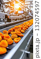Production line with dried apricots in food manufacturing plant 132074597