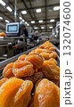 Dried apricots on conveyor belt in modern food processing factory 132074600