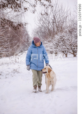 Elderly woman in a blue winter coat walking her Golden Retriever along a snowy rural path. She looks at the dog affectionately as they walk together surrounded by winter trees and fresh snow. Elderly woman in a blue winter coat walking her Golden Retriever along a snowy rural path. She looks at the dog affectionately as they walk together surrounded by winter trees and fresh snow. 132074990