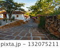 Scenic view down a historic stone-paved street surrounded by rustic stone walls and vibrant greenery in Barichara, Colombia. 132075211