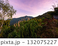 Colorful twilight sky near Minca, Magdalena. 132075227