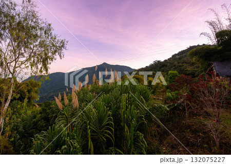 Colorful twilight sky near Minca, Magdalena. 132075227