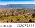 Vast cultivated fields leading to a massive plateau in Oromia Region, Ethiopia. 132075228