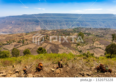Vast cultivated fields leading to a massive plateau in Oromia Region, Ethiopia. 132075228