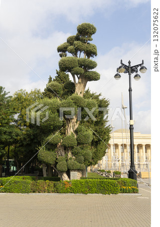 the gardens along Bark Boulevard in Baku, Azerbaijan 132075622
