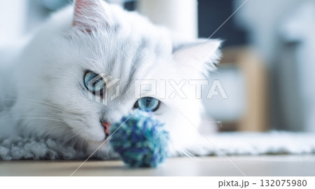 Close-up portrait of a fluffy white cat with striking blue eyes 132075980