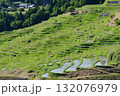 丸山千枚田 132076979