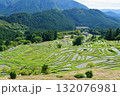丸山千枚田 132076981