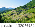 丸山千枚田 132076984