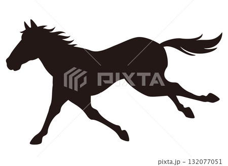 疾走する馬のシルエット/走る馬の横姿(足伸ばしポーズ) 疾走する馬のシルエット/走る馬の横姿(足伸ばしポーズ) 132077051