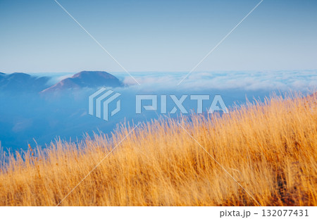Picture of a scenic valley in morning light. Location Crimean peninsula. 132077431