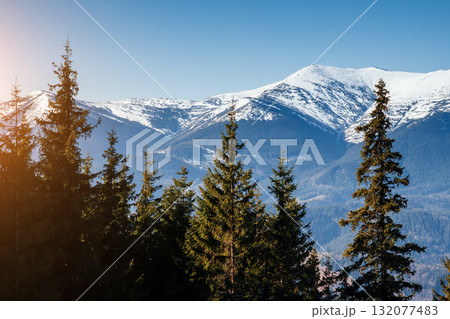 Scenic image of snowy peaks in the sunlight. Location Carpathian national park. Scenic image of snowy peaks in the sunlight. Location Carpathian national park. 132077483