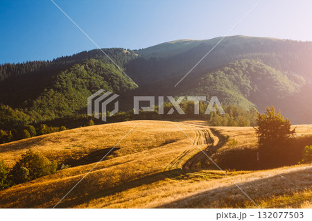 Scenic image of mountain landscape in the sunlight. Locations Carpathian national park, Ukraine. Scenic image of mountain landscape in the sunlight. Locations Carpathian national park, Ukraine. 132077503