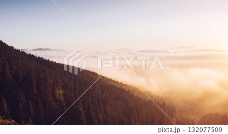 Scenic image of misty valley. Locations Carpathian national park, Ukraine. Scenic image of misty valley. Locations Carpathian national park, Ukraine. 132077509