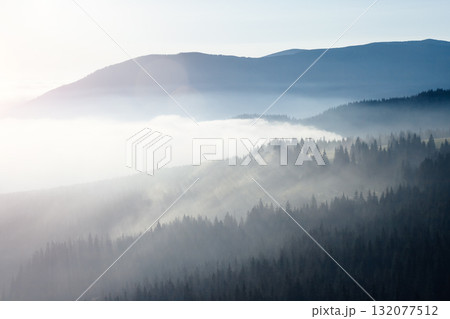 Scenic image of misty valley. Locations Carpathian national park, Ukraine. Scenic image of misty valley. Locations Carpathian national park, Ukraine. 132077512