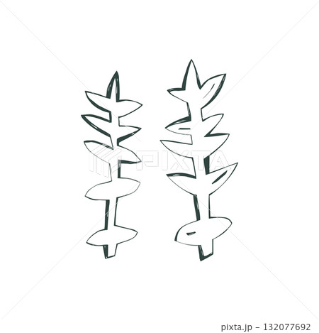 Minimal hand drawn plants with simple organic scandinavian design illustration 132077692