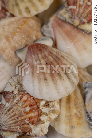 seashells in a large pile are used as souvenirs at seaside resorts, a large number of seashells are in poor condition from improper storage, close up 132077861