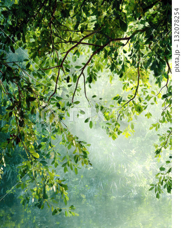 A dreamy, vertical composition capturing bright, sunlit green leaves and branches of a tree over still, reflective water, shrouded in a soft, ethereal mist. Perfect for themes of nature, tranquility 132078254