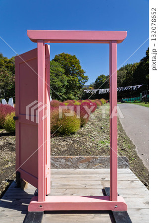 たんばら高原の遊歩道 群馬県沼田市 たんばら高原の遊歩道 群馬県沼田市 132078652