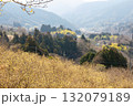 里山に咲くろうばい 132079189