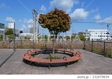 木製サークルベンチ 132079639