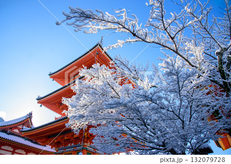 雪の積もった清水寺　三重塔 132079728