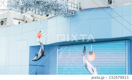 八景島シーパラダイスのカマイルカショー　ジャンプでボールに触れる瞬間 132079913