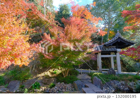 宇治の琴坂石門 132080195