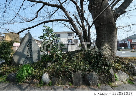 宇治十帖の手習の石碑 132081017