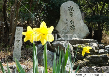 宇治十帖の総角の石碑 132081099