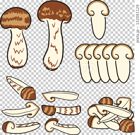 手描き風松茸 手描き風松茸 132081129