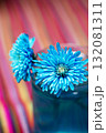 花瓶にさしてる青い花 132081311