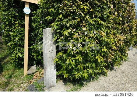 宇治十帖の蜻蛉の石碑 宇治十帖の蜻蛉の石碑 132081426