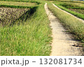 田んぼの間の農道 132081734