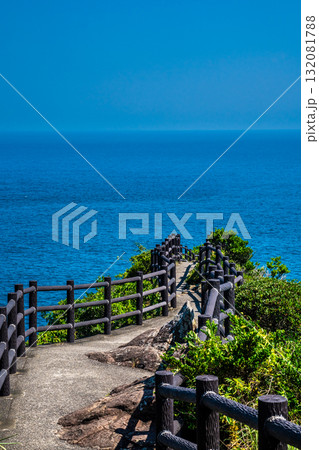 日向岬【宮崎県日向市】 132081788