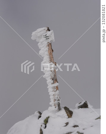 Winter forest scene with snow and trees 132081821