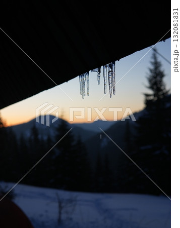 Winter forest scene with snow and trees 132081831