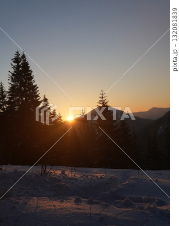 Winter forest scene with snow and trees 132081839