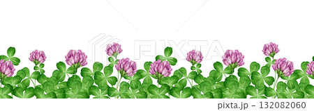 Clover plant seamless border decor on white background. Hand drawn watercolor botanical illustration. Clover herb stems with green leaves and flowers seamless border decoration floral element. Clover plant seamless border decor on white background. Hand drawn watercolor botanical illustration. Clover herb stems with green leaves and flowers seamless border decoration floral element. 132082060